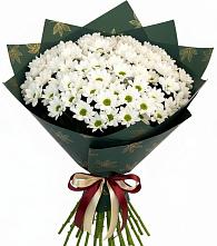 Букет цветов из:  Хризантемы в Локоть