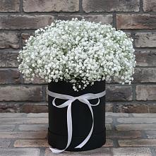 Цветочная композиция из Гипсофила в шляпной коробке в Локоть