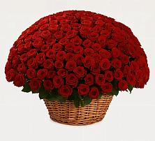 Премиум букет из: Розы #REPLACE_PRED# Локоть