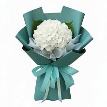 Букет цветов из:  Гортензия в Локоть